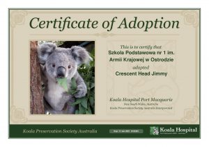 Koala Adoption Certificate 6 x2 1